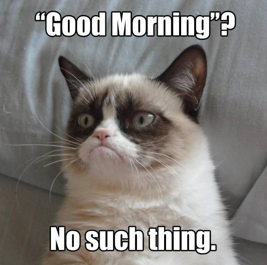 Funny Grumpy Cat Good Morning - Good Morning Images Wishes and Quotes